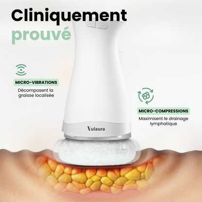 Sculpteur Pro Vulaura