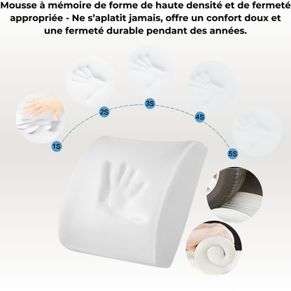 Coussin Orthopédique Dossier Cellsius - Soulage les douleurs lombaires et dorsales