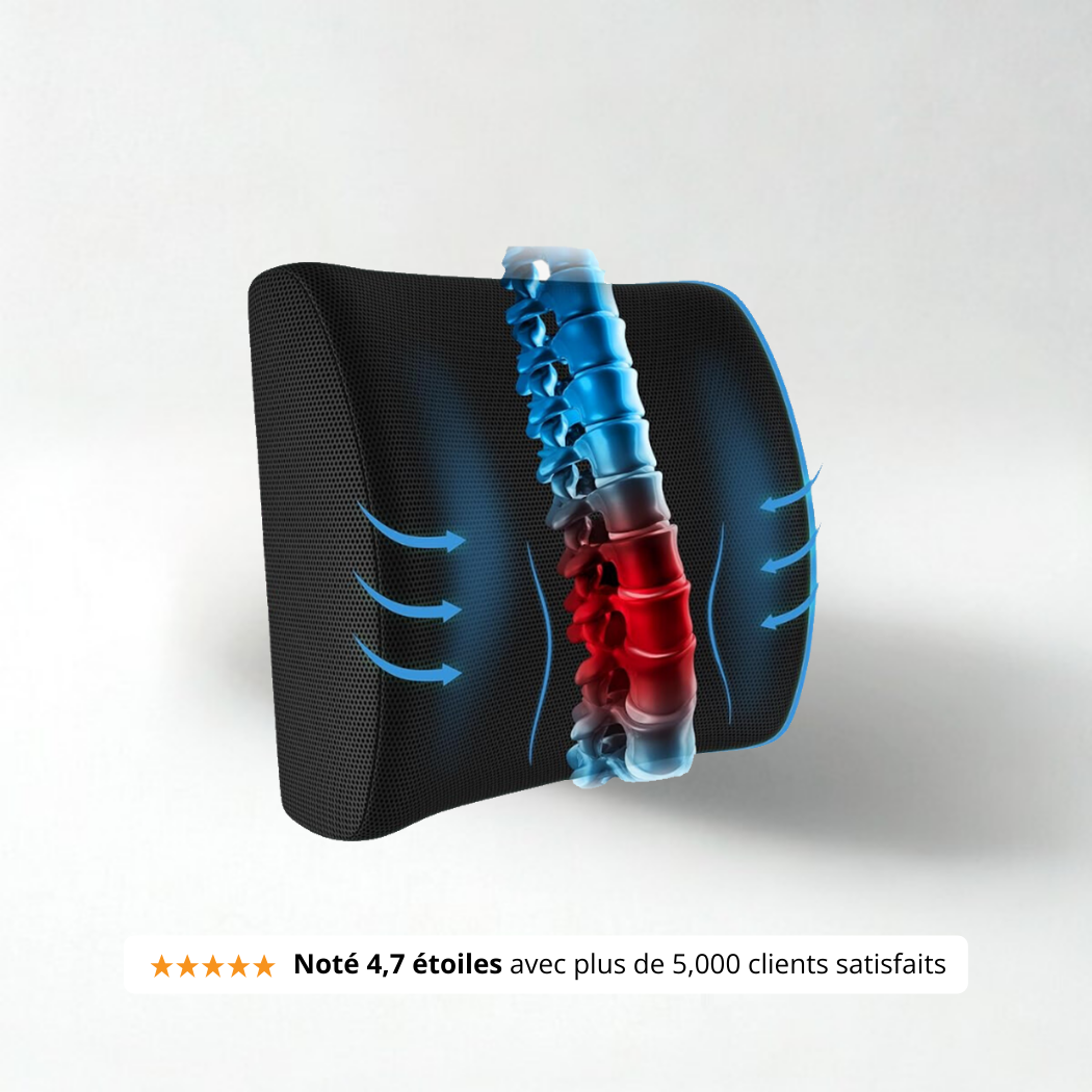 Coussin Orthopédique Dossier Vulaura